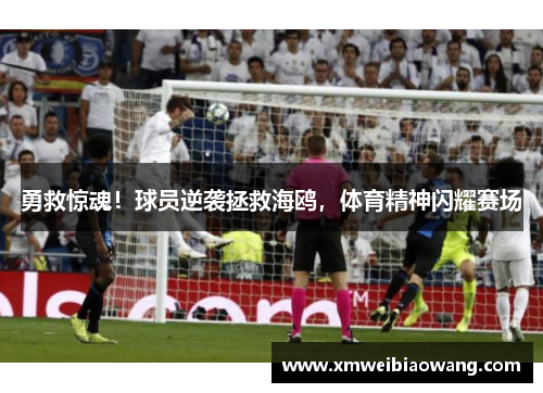 勇救惊魂！球员逆袭拯救海鸥，体育精神闪耀赛场